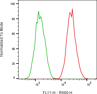 Rabbit-anti HER2 monoclonal antibody