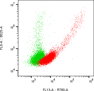 Rabbit-anti KIRREL1 monoclonal antibody
