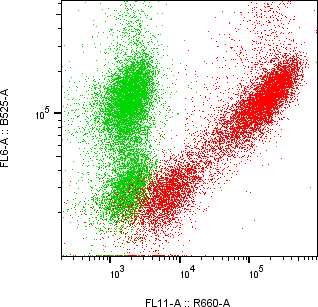 Rabbit-anti DEFA1 monoclonal antibody