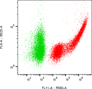 Rabbit-anti COL3A1 monoclonal antibody