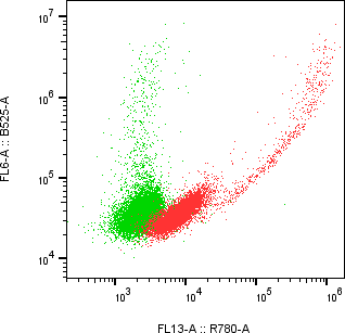 Rabbit-anti KIRREL1 monoclonal antibody