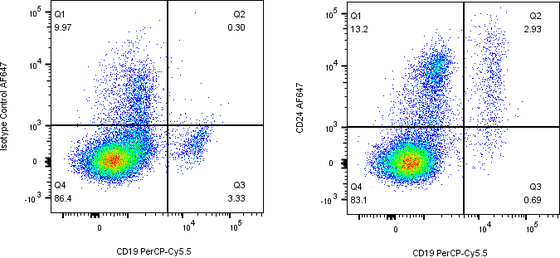 Rabbit-anti CD24 monoclonal antibody