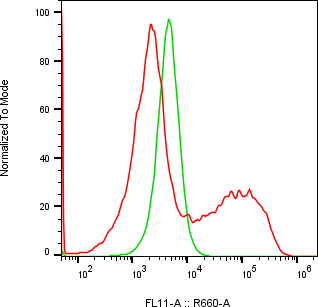 Rabbit-anti PSG5 monoclonal antibody