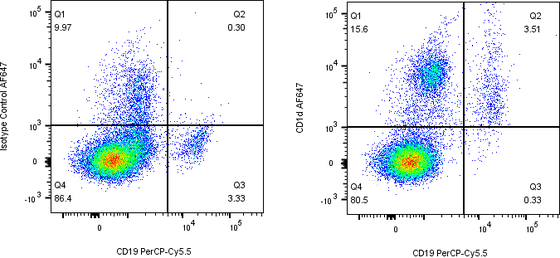 Rabbit-anti CD1D monoclonal antibody