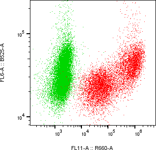 Rabbit-anti PGLYRP4 monoclonal antibody