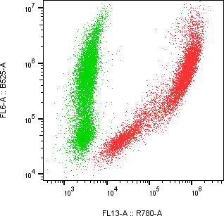 Rabbit-anti CD33 monoclonal antibody