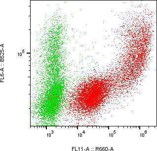Rabbit-anti JAM3 monoclonal antibody