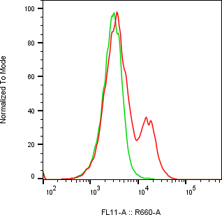 Rabbit-anti PRSS35 monoclonal antibody