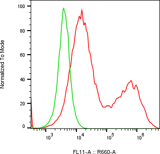 Rabbit-anti SERPINI2 monoclonal antibody
