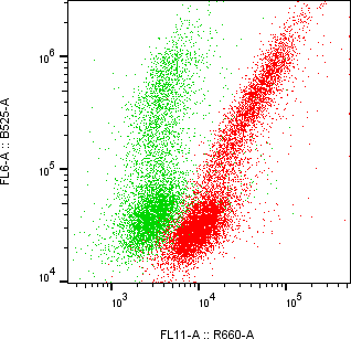 Rabbit-anti EMB monoclonal antibody