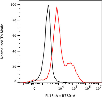 Rabbit-anti SDC1 monoclonal antibody