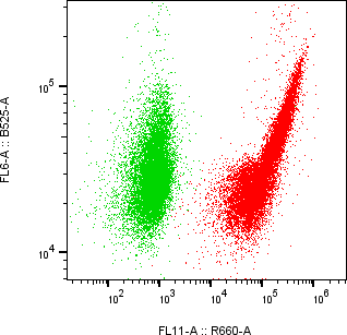 Rabbit-anti PRSS22 monoclonal antibody