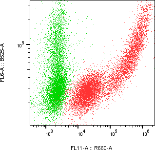 Rabbit-anti DEFB115 monoclonal antibody