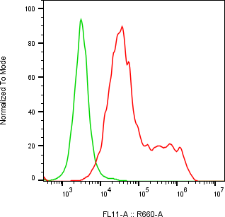 Rabbit-anti LRRN1 monoclonal antibody