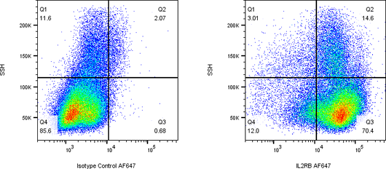 Rabbit-anti IL2RB monoclonal antibody