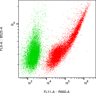 Rabbit-anti CPXM2 monoclonal antibody