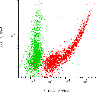 Rabbit-anti APOE monoclonal antibody