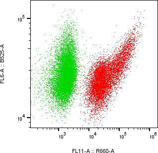 Rabbit-anti SEMG1 monoclonal antibody
