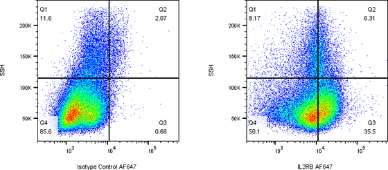 Rabbit-anti IL2RB monoclonal antibody