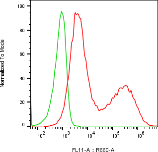 Rabbit-anti NTRK3 monoclonal antibody