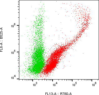 Rabbit-anti ITGB1 monoclonal antibody