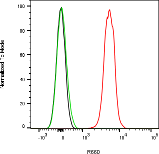 Rabbit-anti CST7 monoclonal antibody