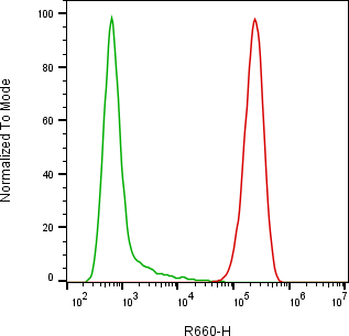 Rabbit-anti CD46 monoclonal antibody