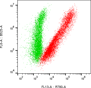 Rabbit-anti MICB monoclonal antibody