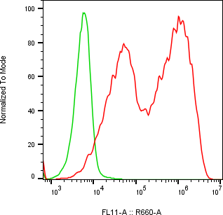 Rabbit-anti LYG2 monoclonal antibody