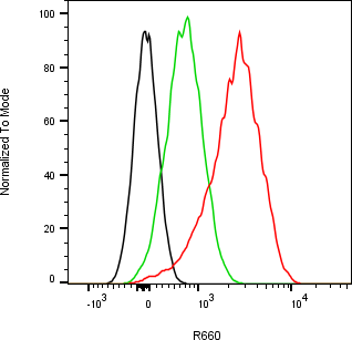 Rabbit-anti ATRAID (ECD 169AA) monoclonal antibody