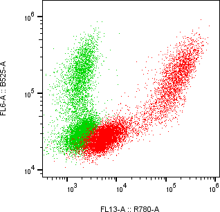 Rabbit-anti KLK7 monoclonal antibody