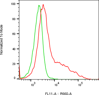 Rabbit-anti LRRC3 monoclonal antibody