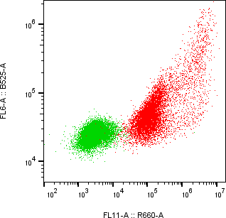 Rabbit-anti CGB2 monoclonal antibody