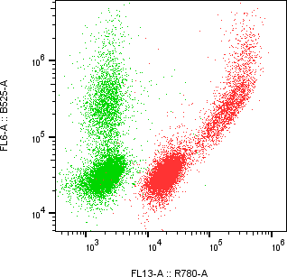 Rabbit-anti NECTIN2 monoclonal antibody