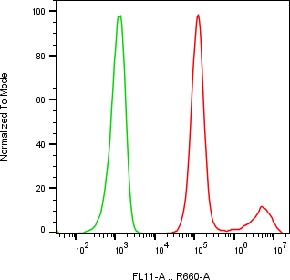 Rabbit-anti TGFBR2 monoclonal antibody