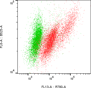 Rabbit-anti APOA1 monoclonal antibody