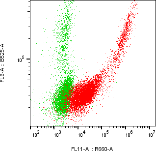 Rabbit-anti CLEC3B monoclonal antibody