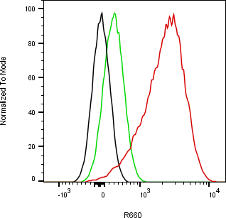 Rabbit-anti PDGFB monoclonal antibody