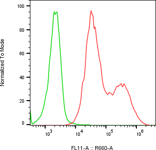 Rabbit-anti CPXM2 monoclonal antibody