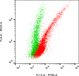 Rabbit-anti EPOR monoclonal antibody