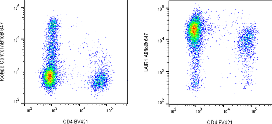 Rabbit-anti LAIR1 monoclonal antibody