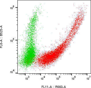 Rabbit-anti MXRA8 monoclonal antibody