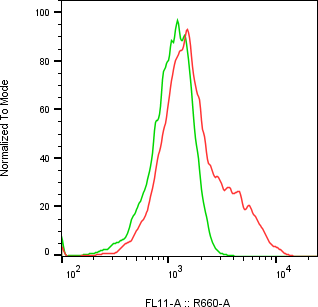 Rabbit-anti CRLF2 monoclonal antibody