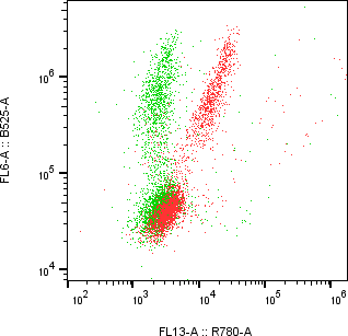 Rabbit-anti IL-1&alpha; monoclonal antibody