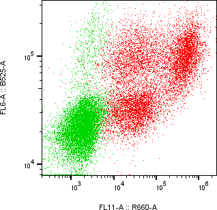Rabbit-anti SPINK2 monoclonal antibody