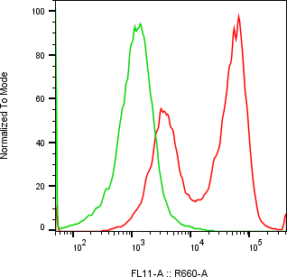 Rabbit-anti GDNF monoclonal antibody