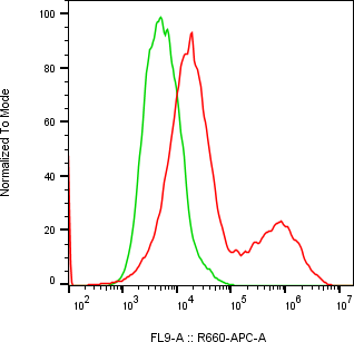Rabbit-anti IL22 monoclonal antibody