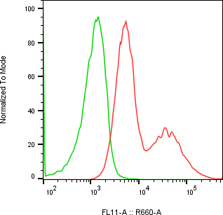 Rabbit-anti SPINK2 monoclonal antibody