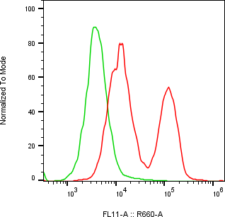 Rabbit-anti LTBR monoclonal antibody
