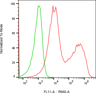 Rabbit-anti CDH17 monoclonal antibody